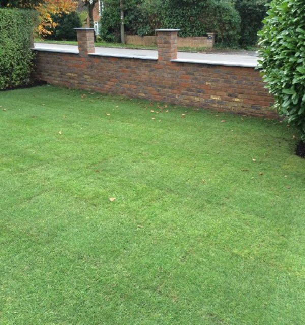 some of our previous landscaping work