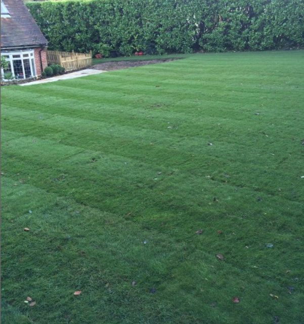 some of our previous landscaping work